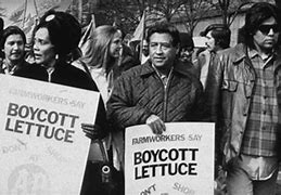 Image result for Boycott Boycotting