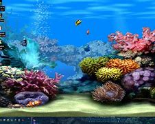 Image result for Animated PC Screen