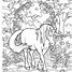 Image result for Princess Unicorn Coloring