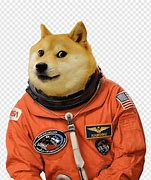 Image result for Galaxy Doge