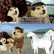 Image result for Skems Doge Meme