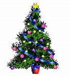 Image result for Trees with Twinkle Lights Background