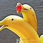 Image result for Funny Banana Puns