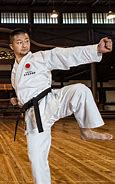 Image result for Karate in Japanese