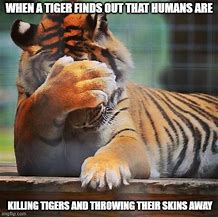 Image result for Easy Tiger Meme