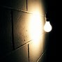 Image result for Light Bulb Dark Room