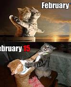 Image result for February Animal Memes