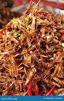 Image result for Cambodia Insect Food