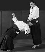 Image result for Real Aikido