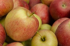 Image result for Good Baking Apple Varieties