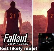 Image result for Fallout Protagonists