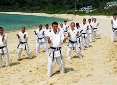 Image result for Okinawa Karate Form