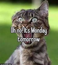 Image result for Tomorrow Is Monday Meme