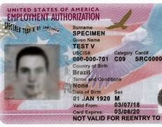 Image result for How to Apply for Work Permit USA