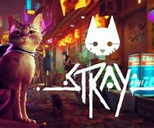 Image result for stray cast