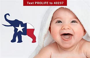 Image result for Pro-Life Boycot