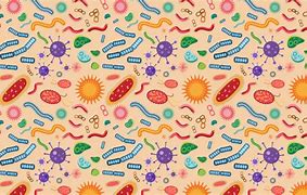 Image result for IBD Gut Microbiome