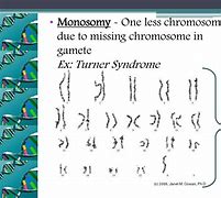 Image result for 1 Less Chromosome