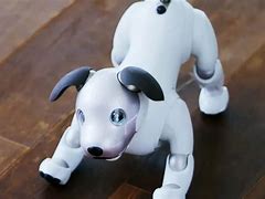 Image result for Aibo 机器狗