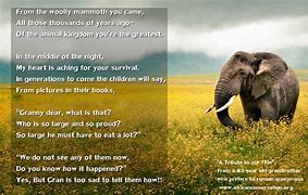 Image result for Baby Elephant Poem