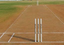 Image result for Cricket Pitch Perfectly Flat Surface