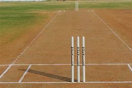 Image result for Cricket Pitch Roof