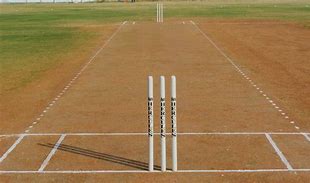 Image result for Cricket Pitch Construction
