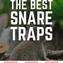 Image result for Snare Wire for Trapping