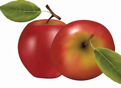 Image result for apples clip art transparent