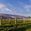 Image result for Trina Solar Projects