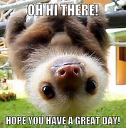 Image result for Sloth Funny Animal Memes