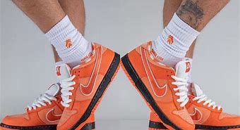 Image result for Dunks Shoes