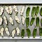 Image result for Best Ever Jalapeno Poppers