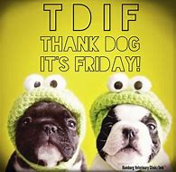 Image result for TGIF Animal