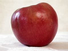 Image result for Honeycrisp Apples Minnesota