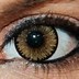 Image result for Amber Contact Lenses