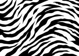 Image result for Tiger Spots Print