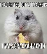 Image result for Cheesy Jokes Memes Funny