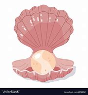 Image result for Clam Vector