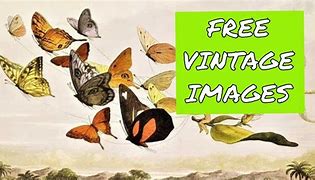 Image result for Where to Find Free Public Domain Images