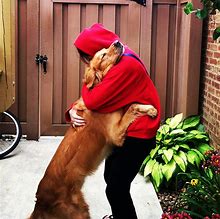 Image result for Keep Calm and Hug Your Dog