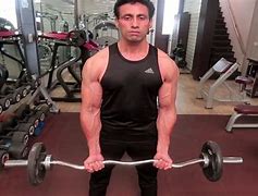 Image result for Standard Bar Curl