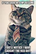 Image result for Cat College Memes
