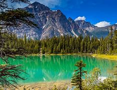 Image result for Nature 1024X768
