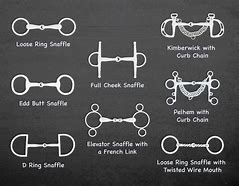 Image result for Different Types of Horse Bits English