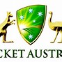 Image result for Australia Cricket Badge