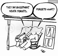 Image result for Funny Memory Loss Animals Free