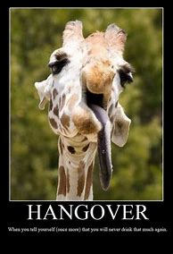 Image result for Holiday Hangover Meme