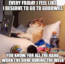 Image result for Lazy Dog Meme