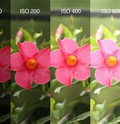Image result for Cdid Camera Settings